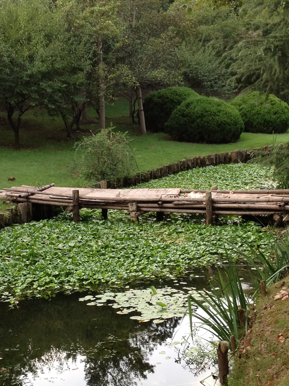 lotus bridge