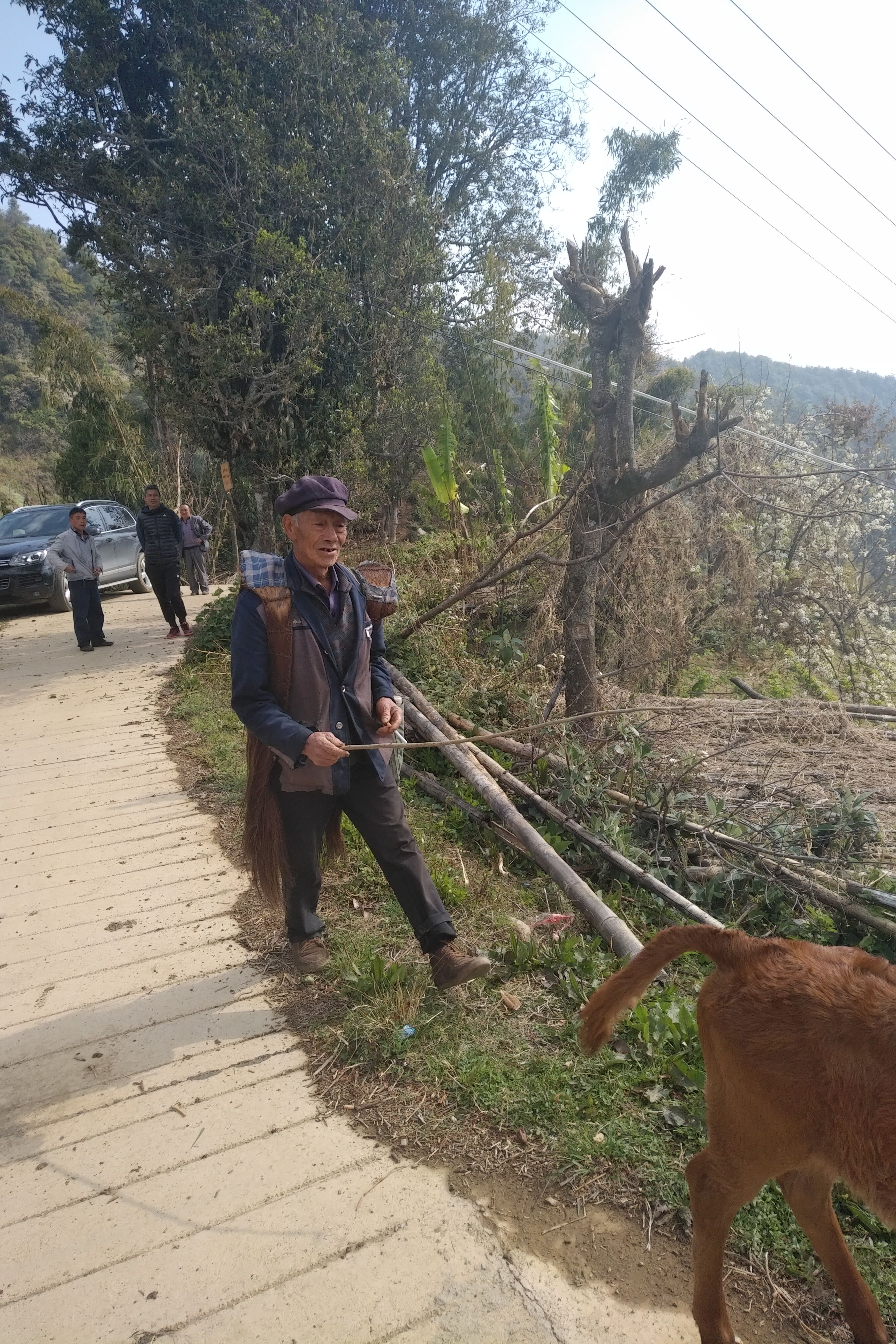 old man with cow IMG_20190320_1946295-min