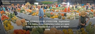 Pure Puer Tea at National Heirloom Exposition Santa Rosa, CA Sept 6-9 booth 141 Vendor Hall 10AM-9PM